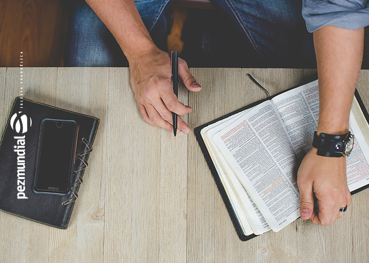 Biblia, Devocional, Estudio